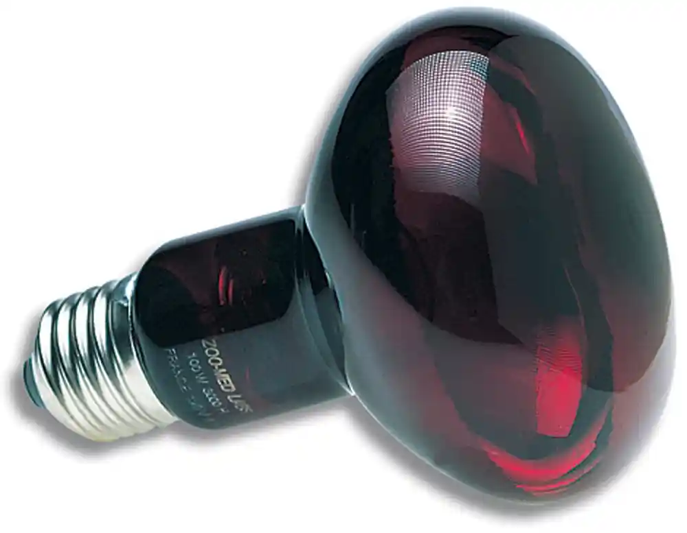 Nocturnal Infrared Heat Lamp 100 Watt Bulb