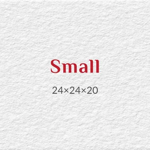 info-img-alt-text