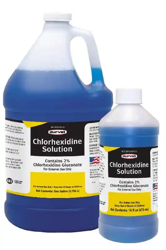Chlorhexidine Solution 2% Gallon