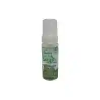 FRESH BREATH ORAL CARE MINT 4.5-oz