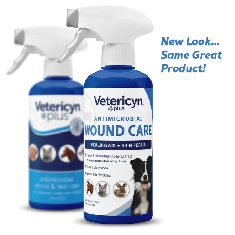 All Animal Antimicrobial Wound & Skin Care, 16 oz