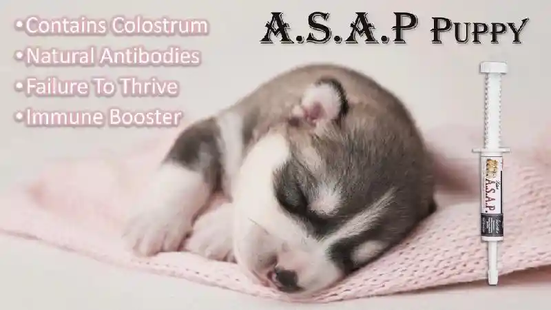 Elite K9  ASAP Puppy 12 gram Tube