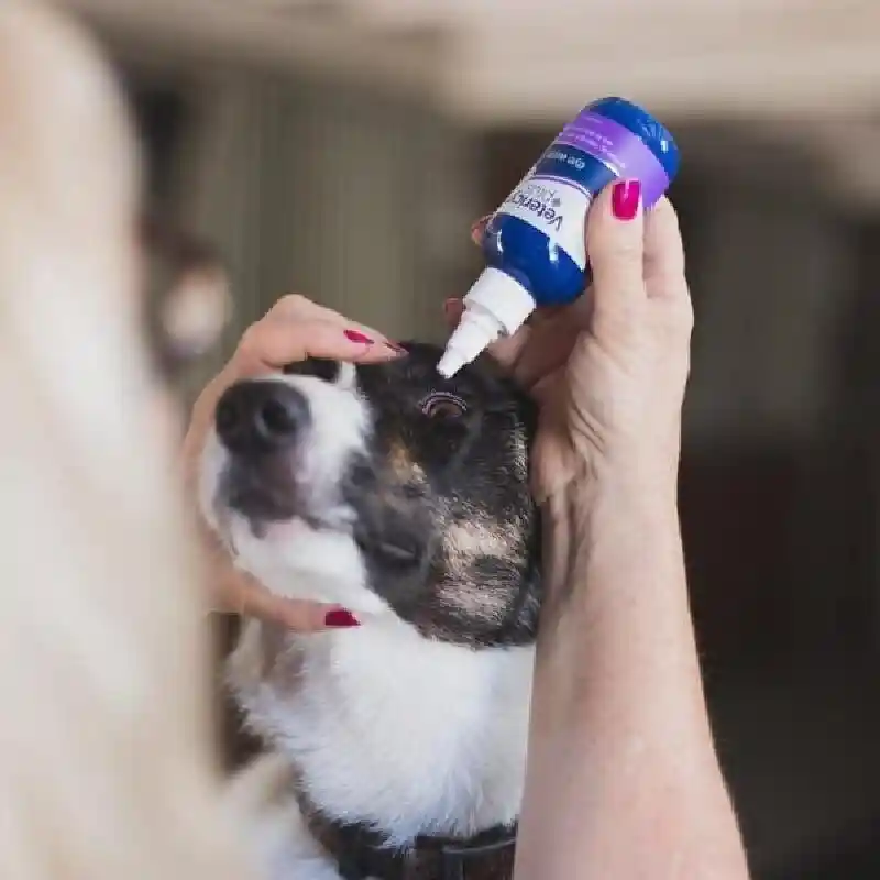 Vetericyn Plus® Antimicrobial Eye Wash 3oz