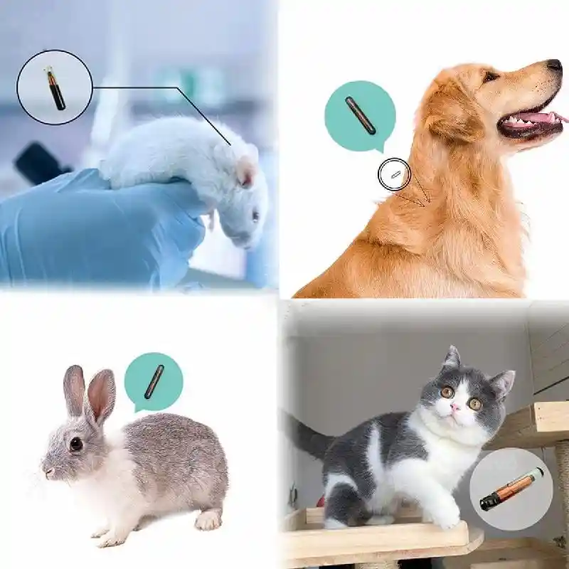 Mini Microchip For Dogs