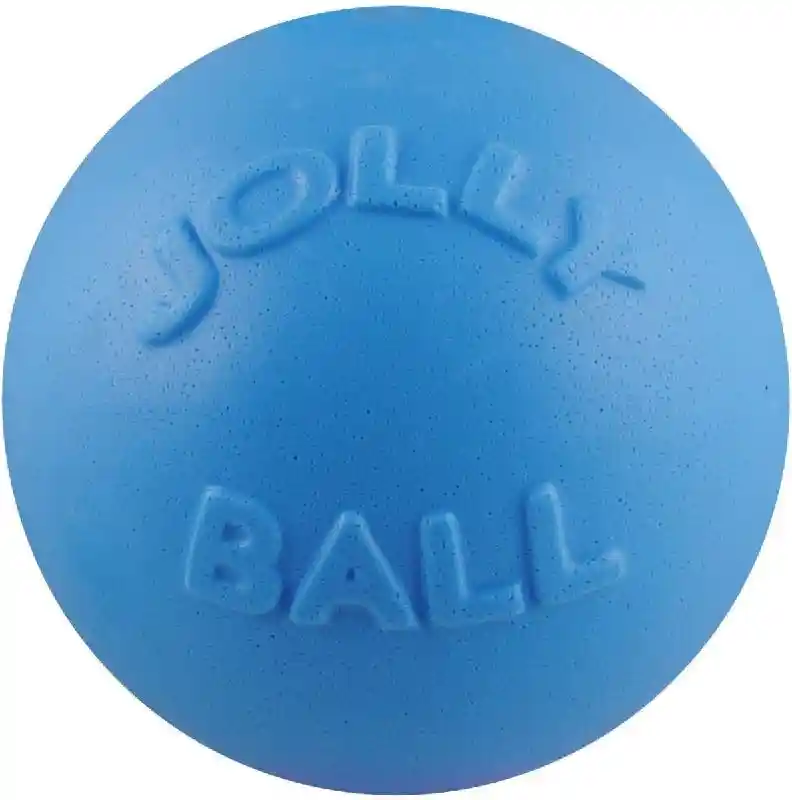 Jolly Bounce-n-Play Blue Berry 6"