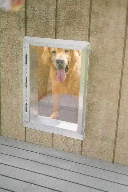 Dog Door Clear Lexan w/ Chew Guard 13x21