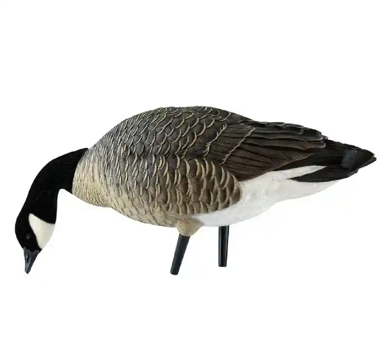 AXF Outfitter Lesser Honker w/ Decoy Pack | 12 pk
