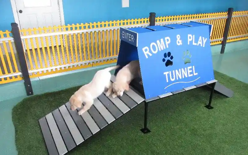 Romp & Play Station Combo Standard