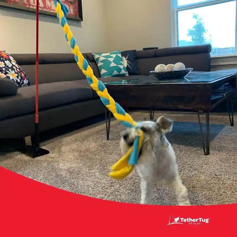 Tether Tug Fleece Toy