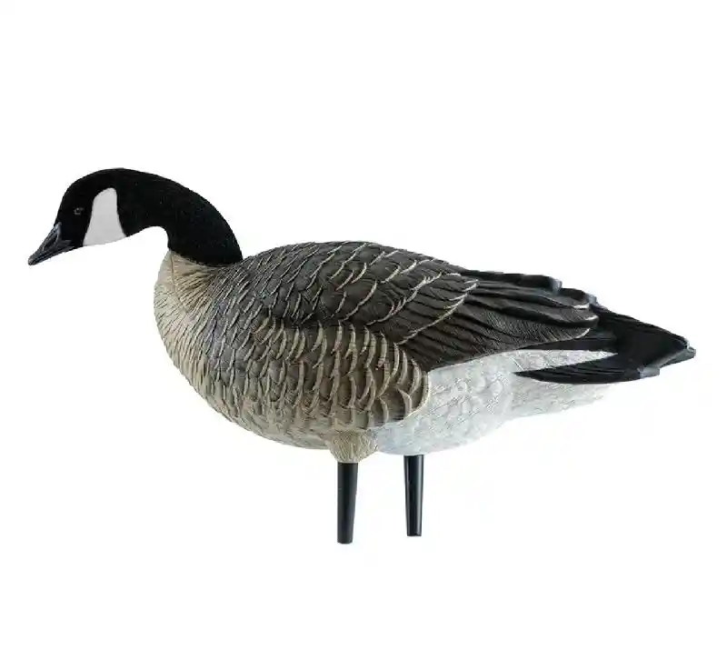 AXF Outfitter Lesser Honker w/ Decoy Pack | 12 pk