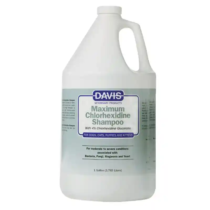 Chlorhexidine 4% Shampoo Gallon