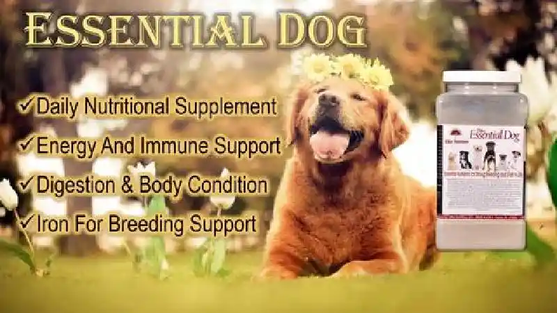 Elite K9 Essential Dog 2 lb
