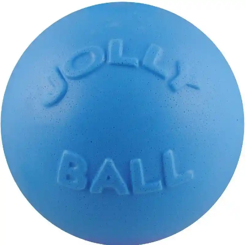 Jolly Bounce-n-Play Blue Berry 8"
