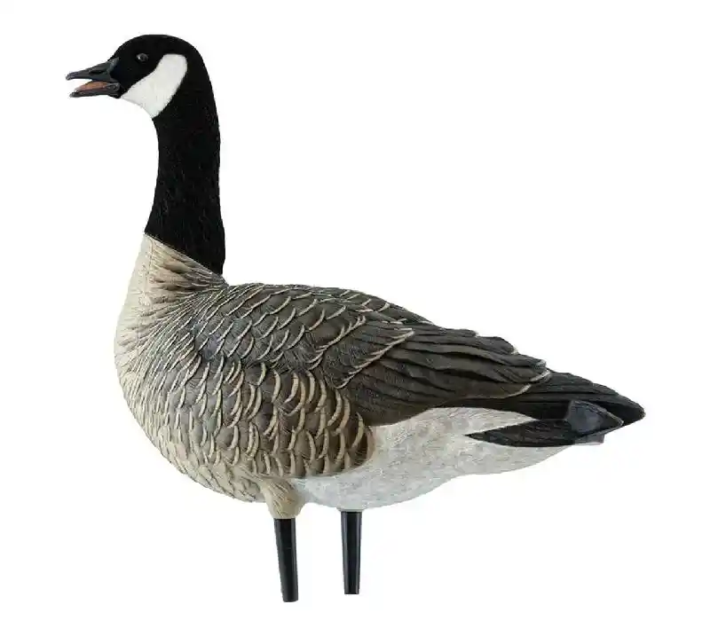 AXF Outfitter Lesser Honker w/ Decoy Pack | 12 pk