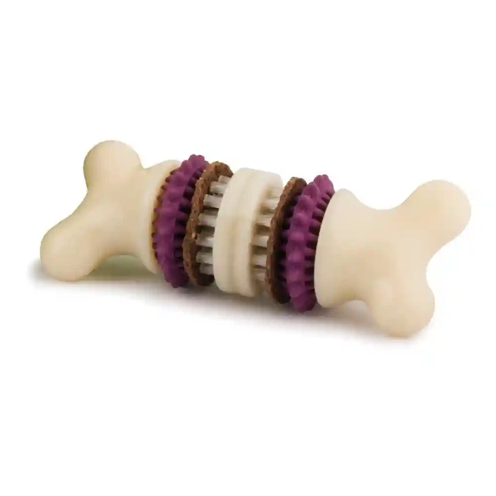 Busy Buddy Bristle Bone | Medium