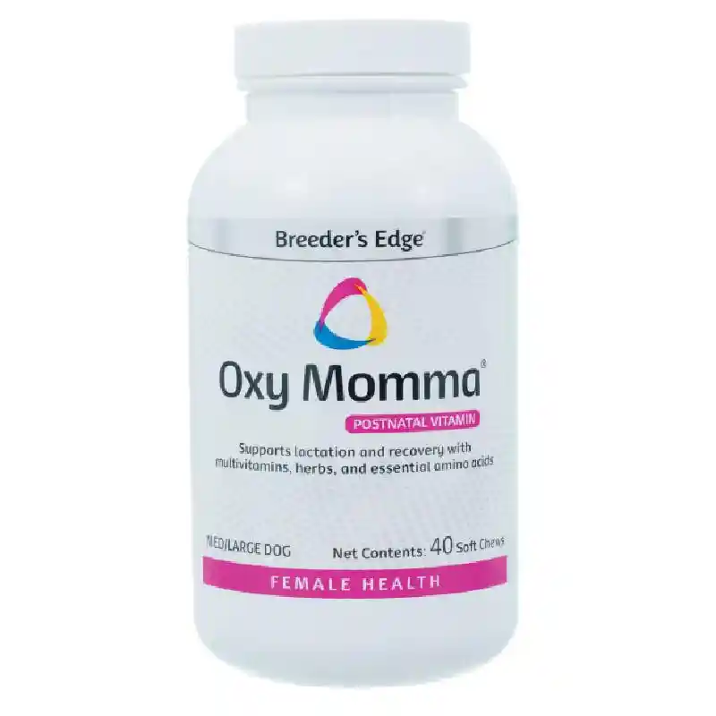 Breeder's Edge Oxy Momma Large 40-ct