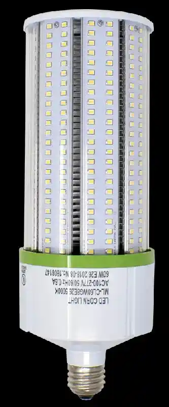 Dustproof Bulb-AC 60 Watt