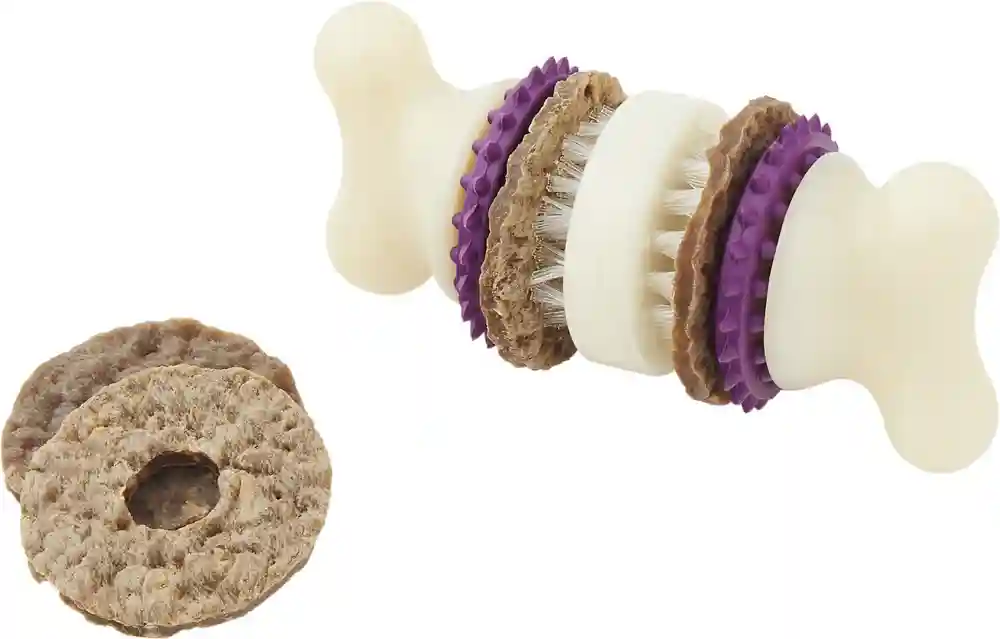 Busy Buddy Bristle Bone | Small