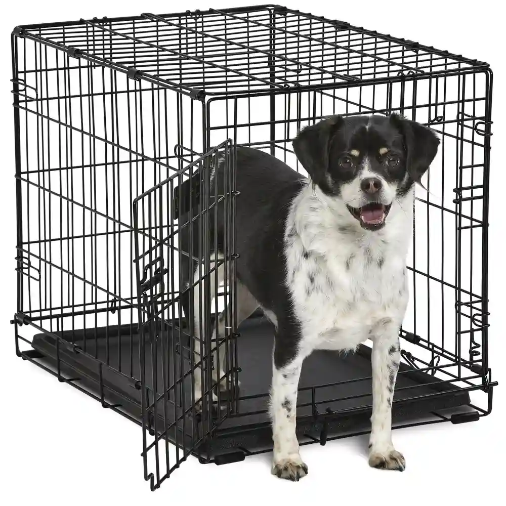 Midwest Contour 1-Door Folding Dog Crate, 24"