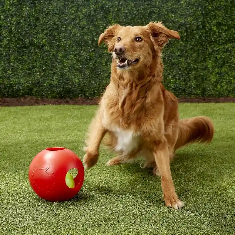 Jolly Teaser Ball Red 4.5"