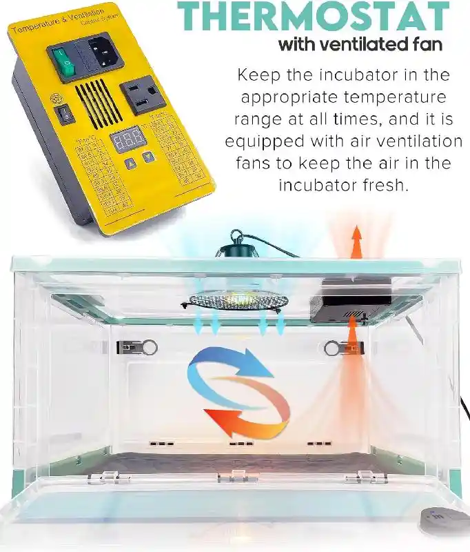 Puppy Incubator with Heating and Oxygen Tube