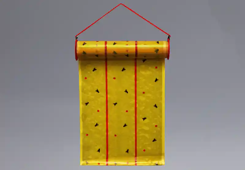 FLY TRAP GIANT CATCHMASTER, 30' Roll