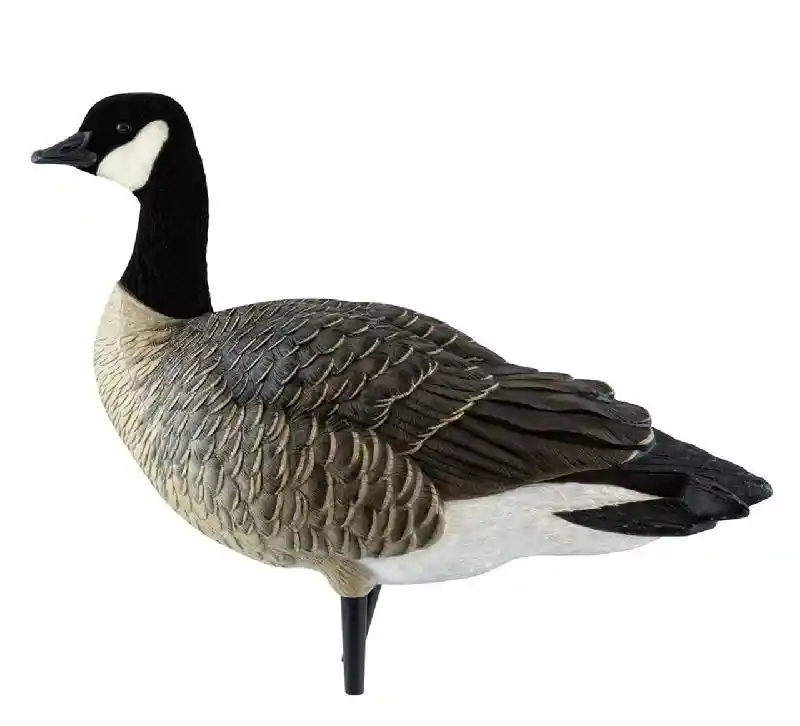 AXF Outfitter Lesser Honker w/ Decoy Pack | 12 pk