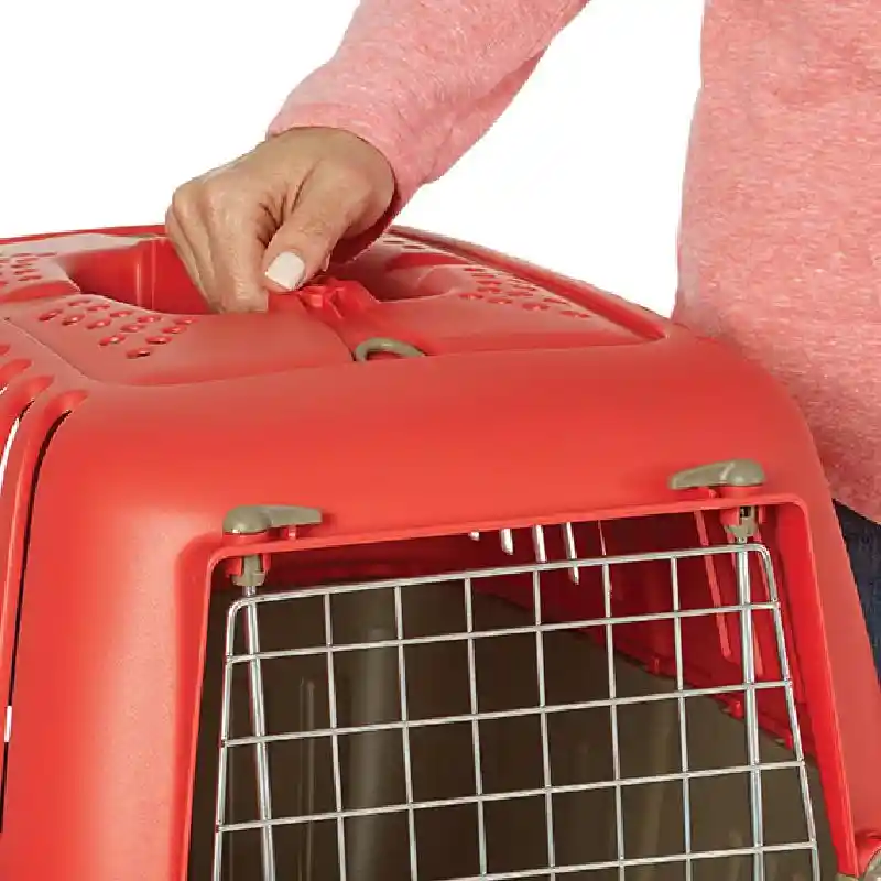 Spree Pet Carrier-19" Red