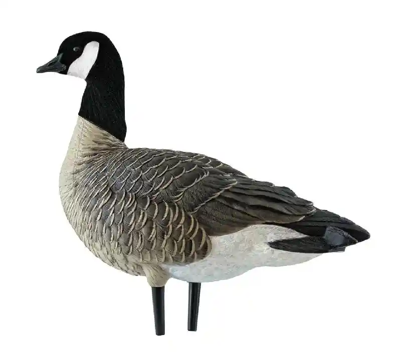 AXF Outfitter Lesser Honker w/ Decoy Pack | 12 pk