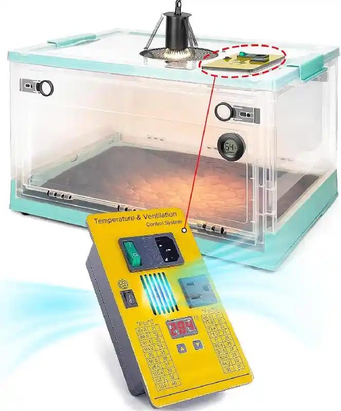 Puppy Incubator with Heating and Oxygen Tube