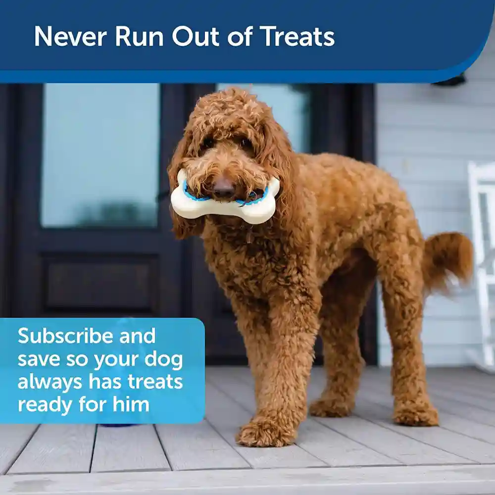 Busy Buddy Rawhide Treat Ring Refills, Original Rawhide, Large