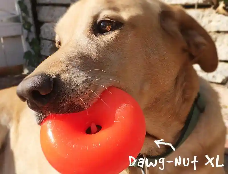 RuffDawg-Nut Green Small