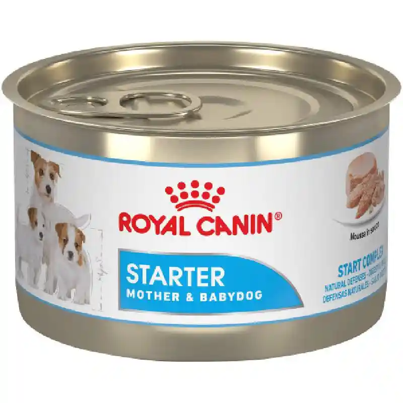Royal Canin Starter Mousse Can Dog Food 5.1-oz