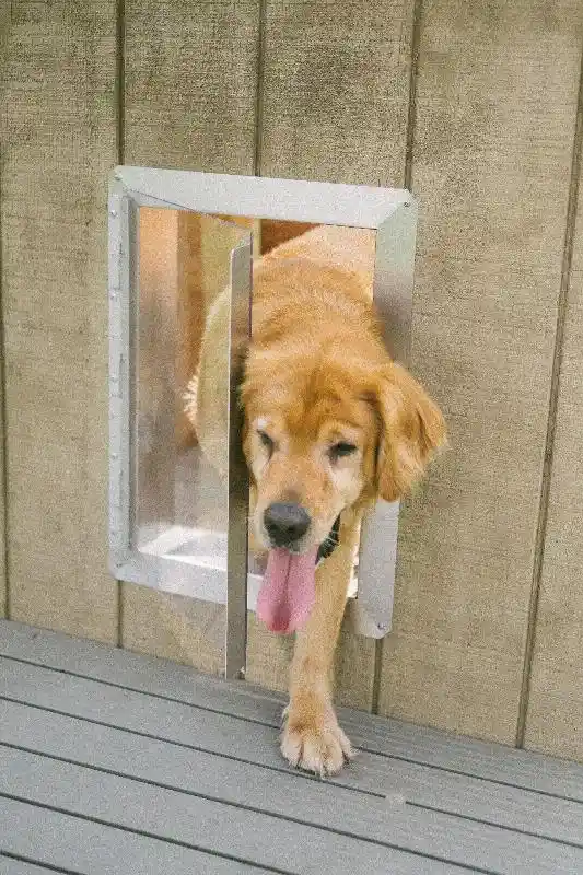 Dog Door Clear Lexan w/ Chew Guard 9x11