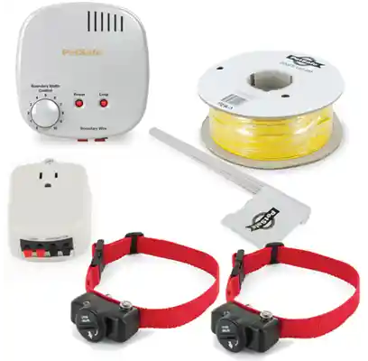 PetSafe Rechargeable In-ground Fence