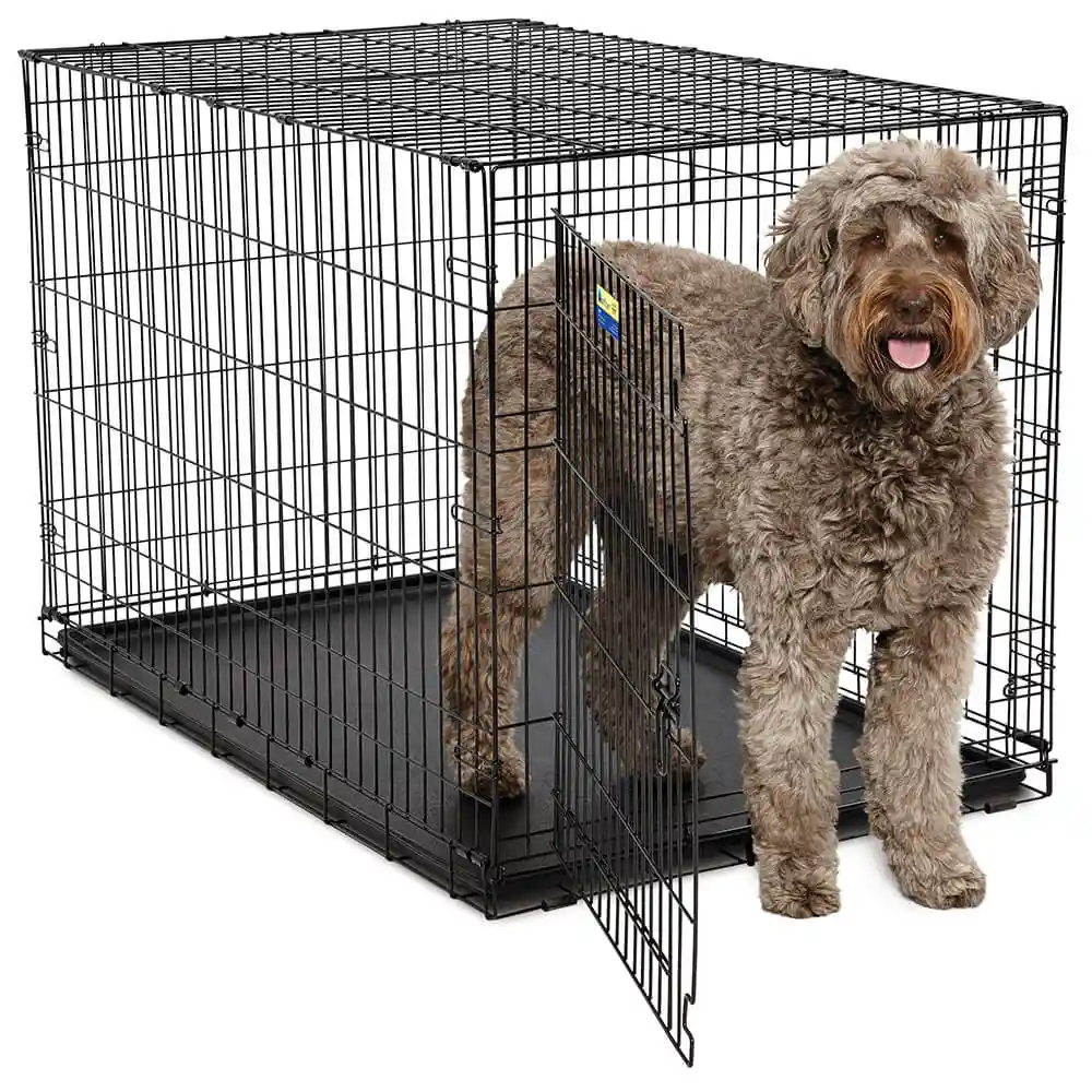 Midwest Contour 1-Door Folding Dog Crate, 48"