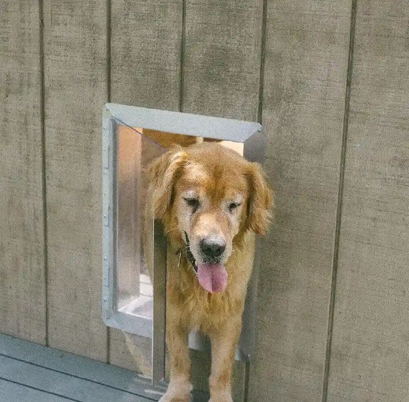 Dog Door Clear Lexan w/ Chew Guard 13X18