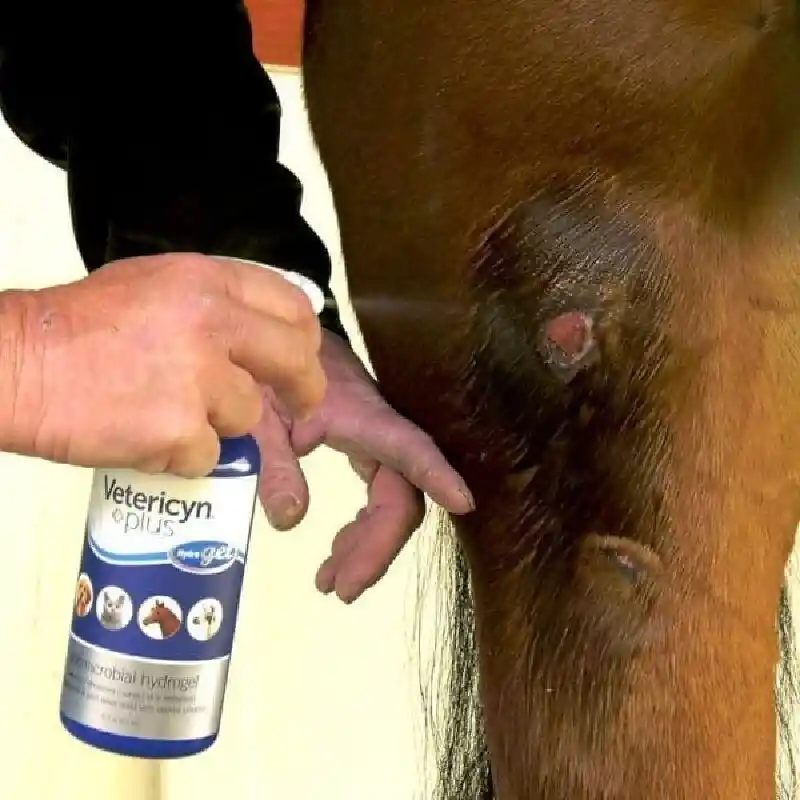 All Animal Antimicrobial Hydrogel, 8 oz