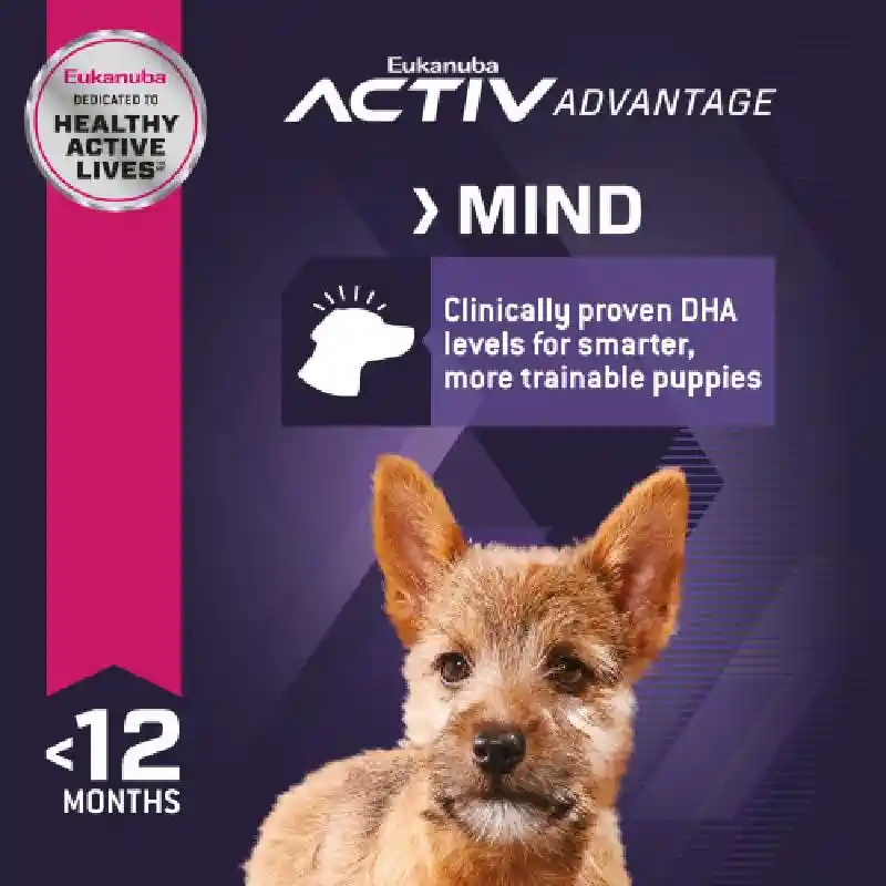 Eukanuba Small Puppy 40#