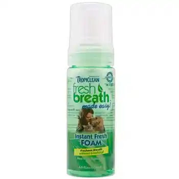 FRESH BREATH ORAL CARE MINT 4.5-oz