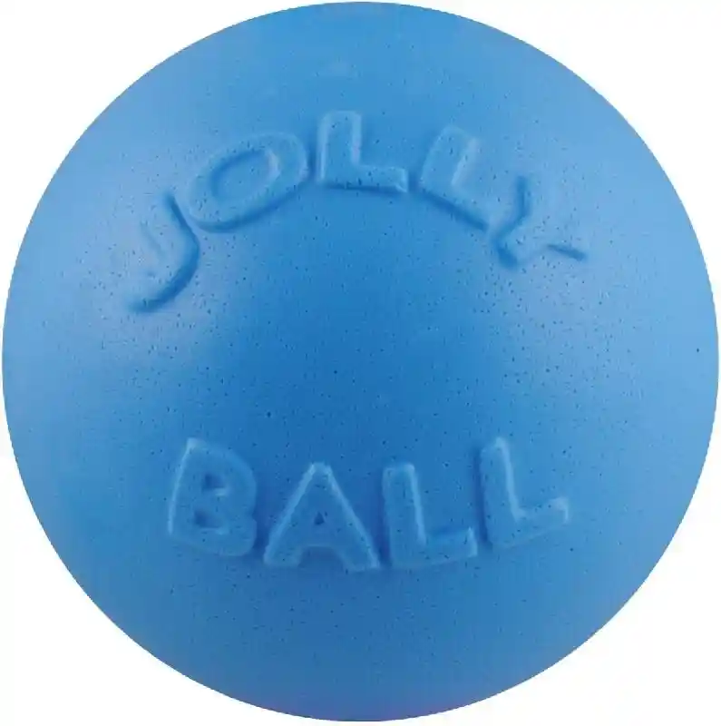 Jolly Bounce-n-Play Blue Berry 4.5"