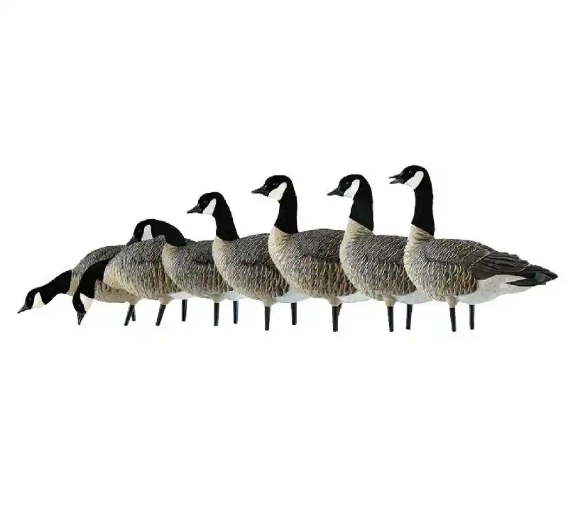 AXF Outfitter Lesser Honker w/ Decoy Pack | 12 pk