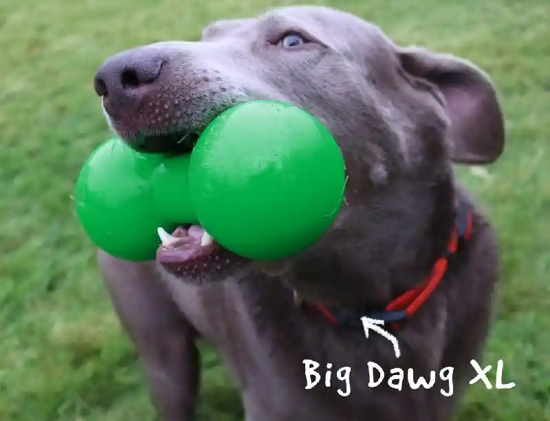 RuffDawg-Big Dawg Pink X-Large