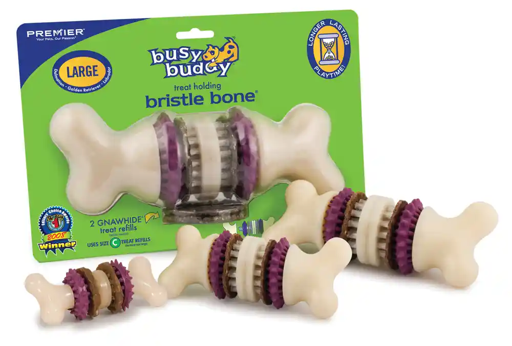 Busy Buddy Bristle Bone | Medium