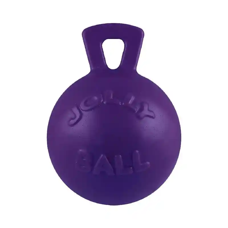 Jolly Ball Tug-n-Toss Purple 10"