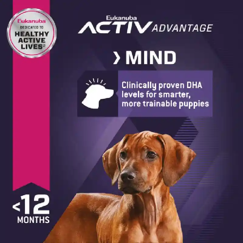 Eukanuba Large Puppy 40#