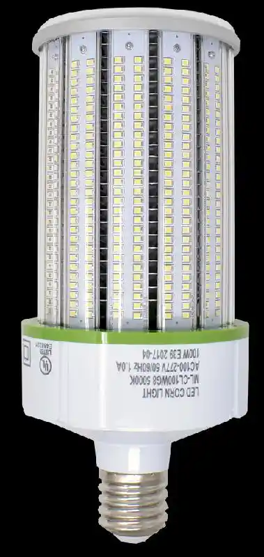 Dustproof Bulb-AC 100 Watt
