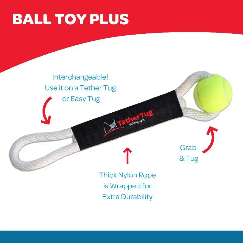 Tether Tug-Ball Toy Plus