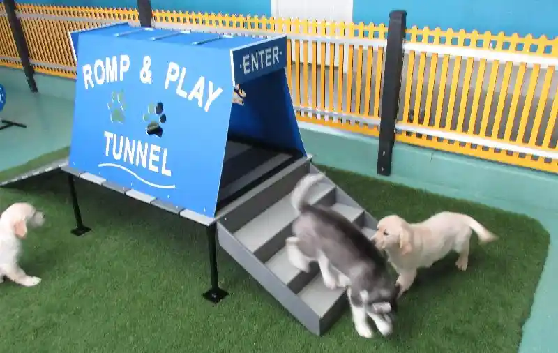 Romp & Play Station Combo Standard