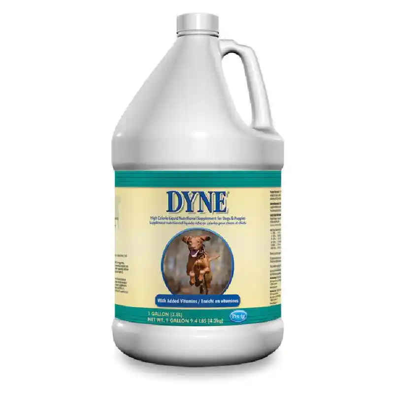 Dyne For Dogs and Puppies 128 oz-Gallon